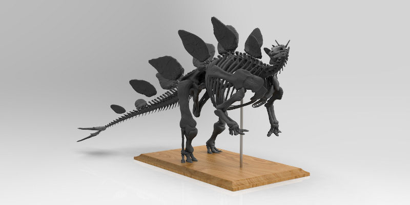 3D Printed Dinosaur Skeleton