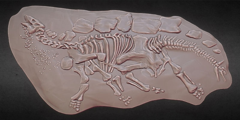 3D Printed Dinosaur Skeleton Fossil