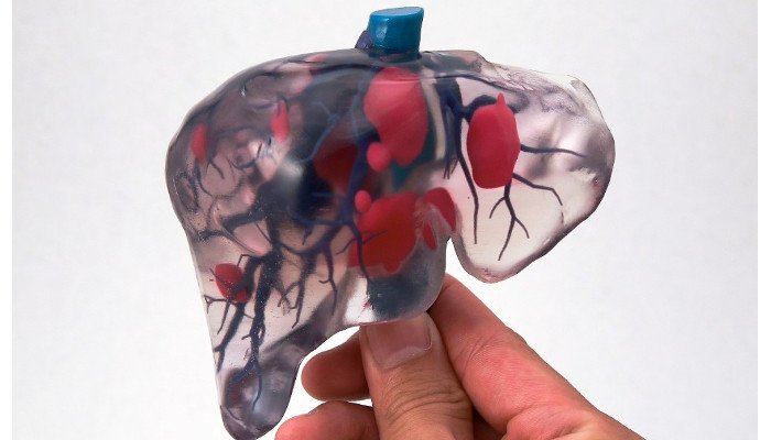 3d printed organs liver