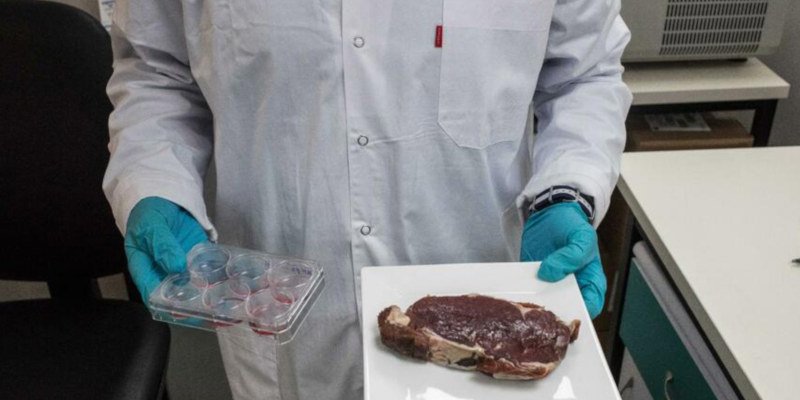 Aleph farms bioprinted meat
